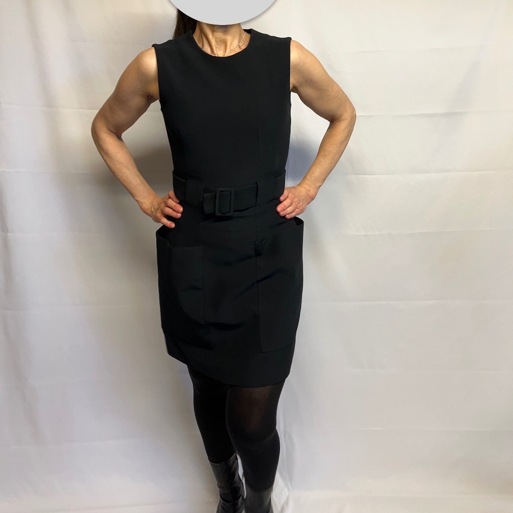 Alexander McQueen Dress